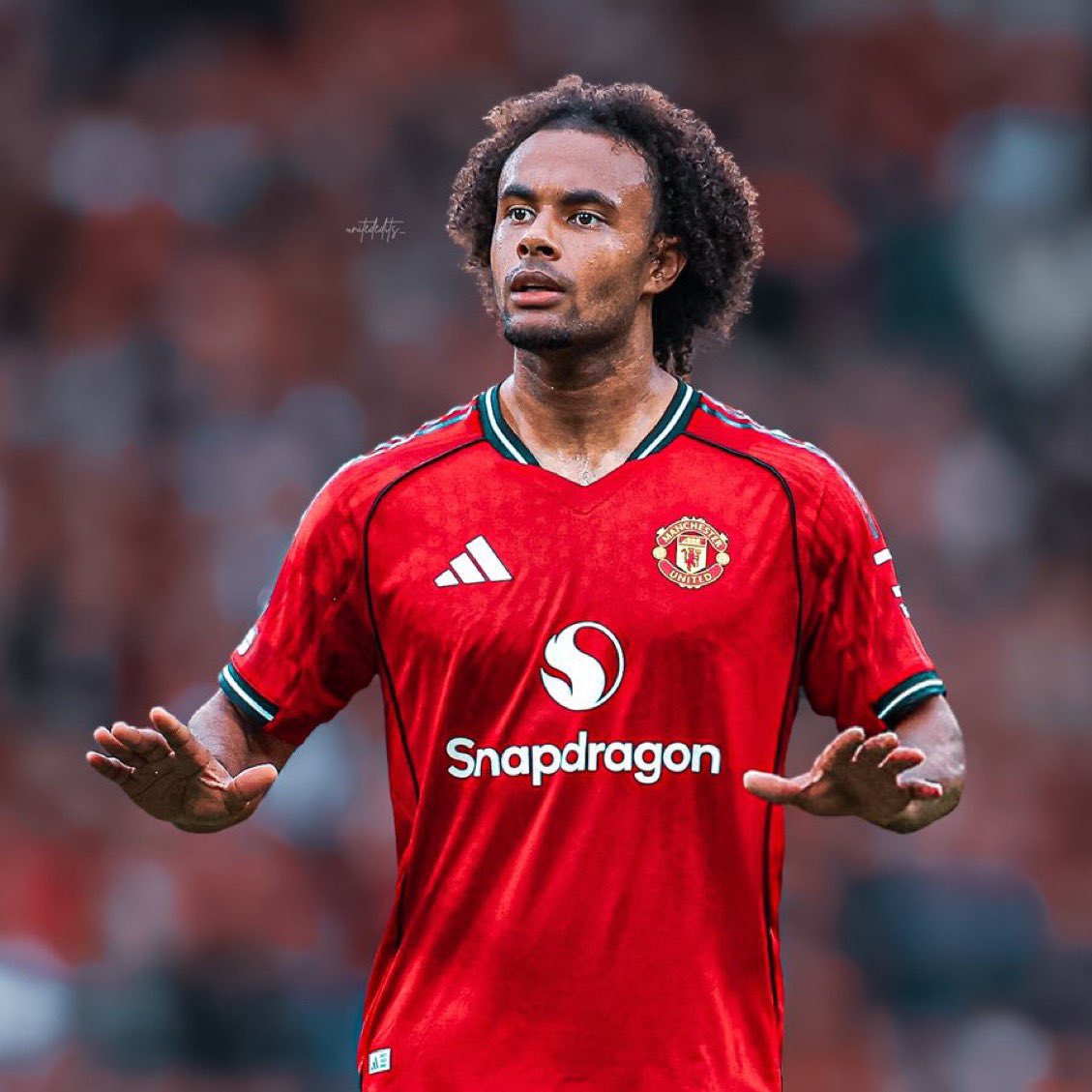 Let’s all be sincere 
Sesko hasn’t been a great signing 
And Zirkzee should have gotten a few minutes today