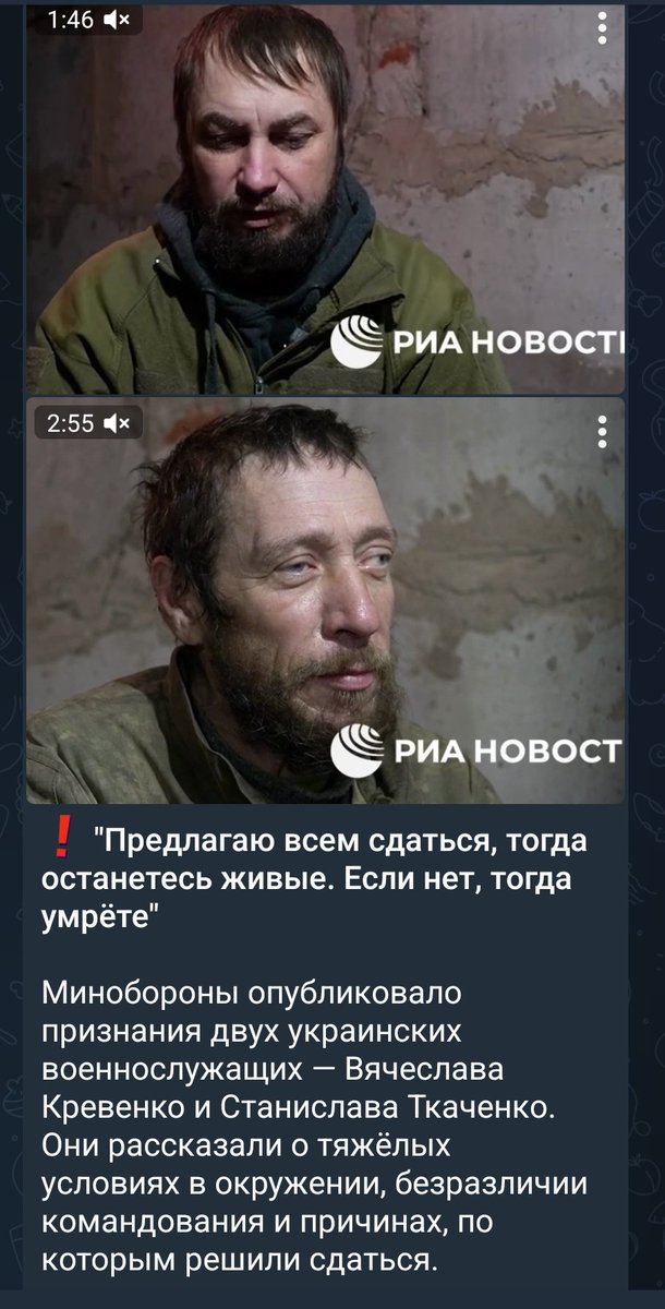 Сергей иZ 🇷🇺ПскоVской tweet media