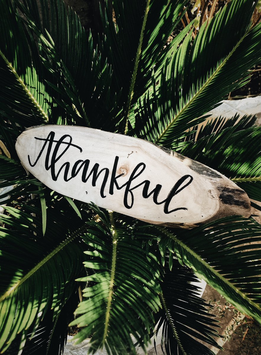 BethFratesMD's tweet image. When we are thankful, we open ourselves up 
to fully experience the big and the small 
moments that make each day and 
each interaction
truly special.
🙏💚😊

#SaturdayThoughts #SaturdayMorning #SaturdayMotivation #gratitude #appreciation #thankful #WellnessJourney…