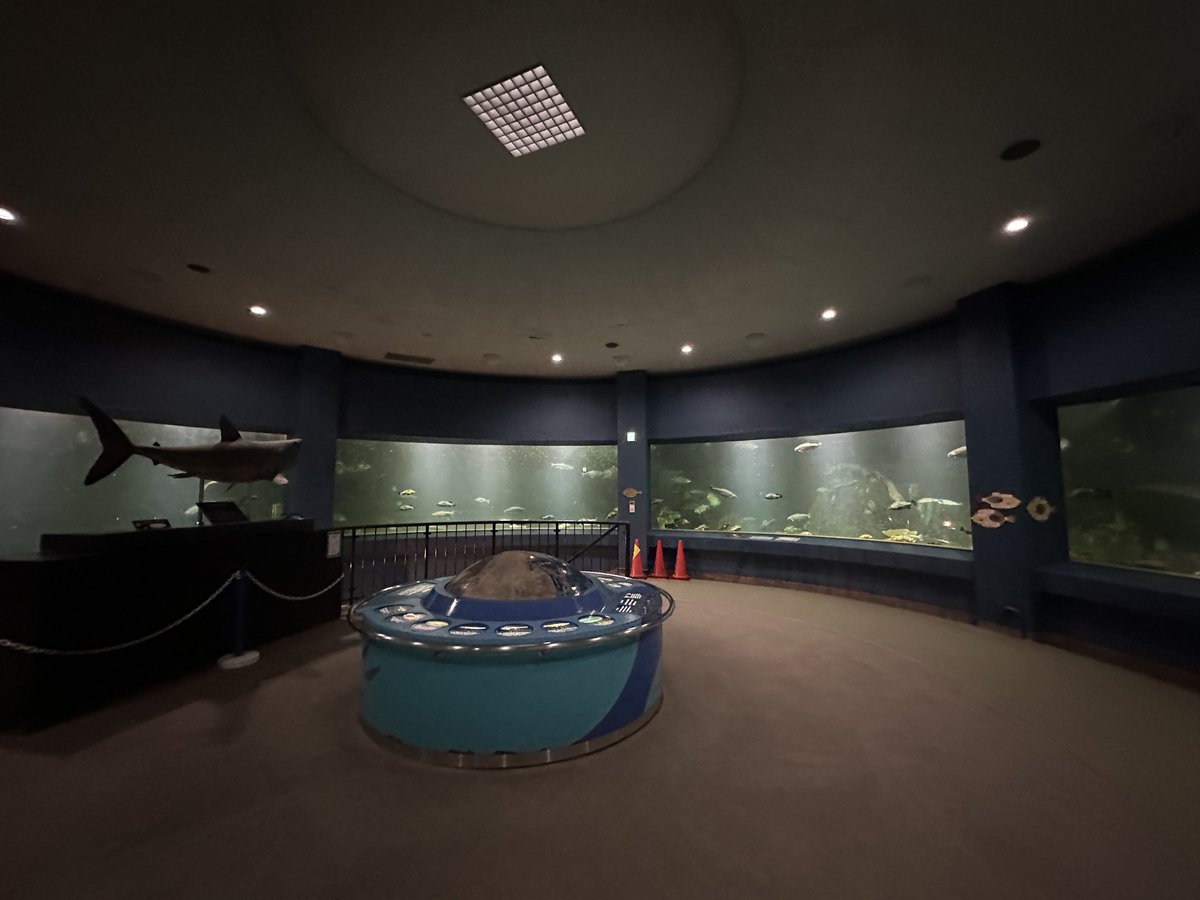 風景の眼 きうじ🌹🍵 on X