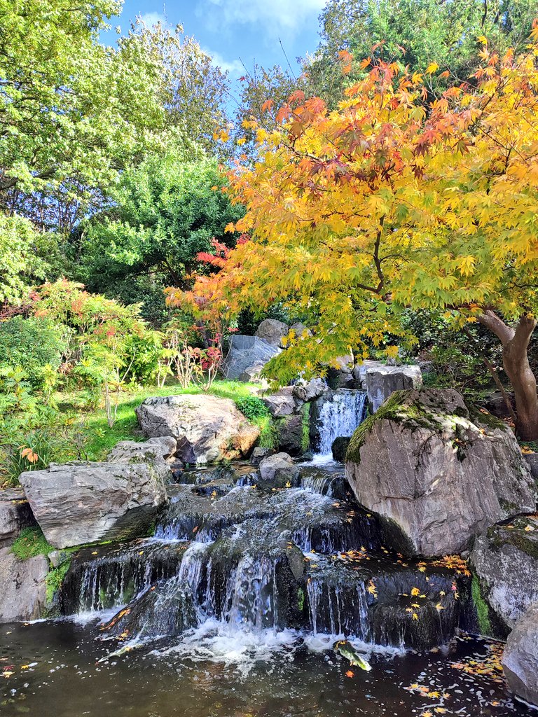 ✨Claire-a-bella✨ tweet media