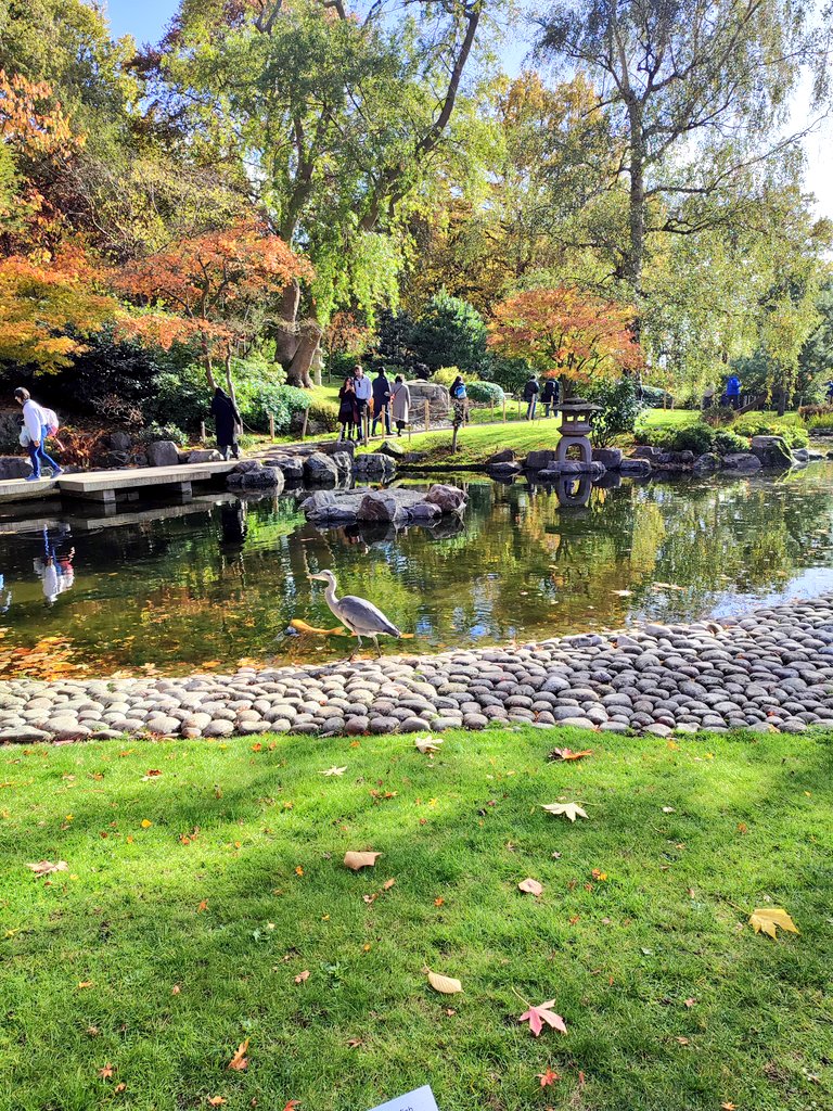 ✨Claire-a-bella✨ tweet media