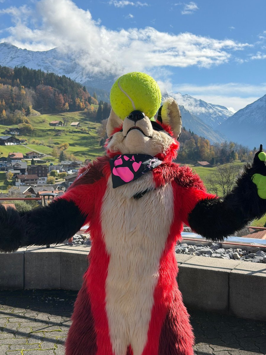 RalfBox's tweet image. I guess I can be an otter now, arf arf x3
#goldenleavescon #GLC 

This is how you train for the Cirque du Nord at #NFC2026

📸 @Noodlesfur