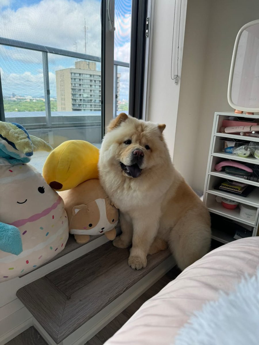 Maddiebenny's tweet image. Happy new month ✨️ from Alexa