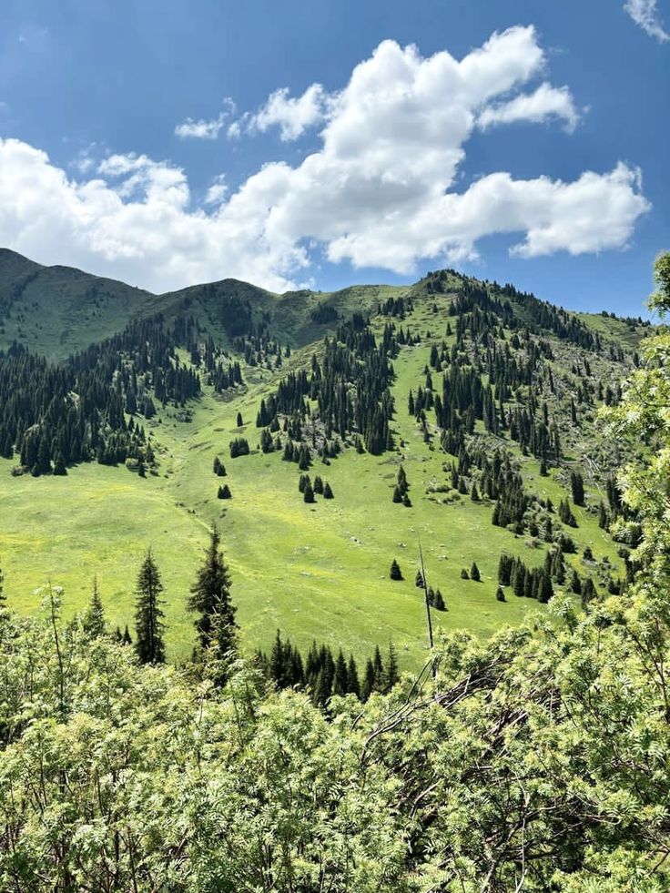 Wa-Bush (@bondzabby) on Twitter photo 