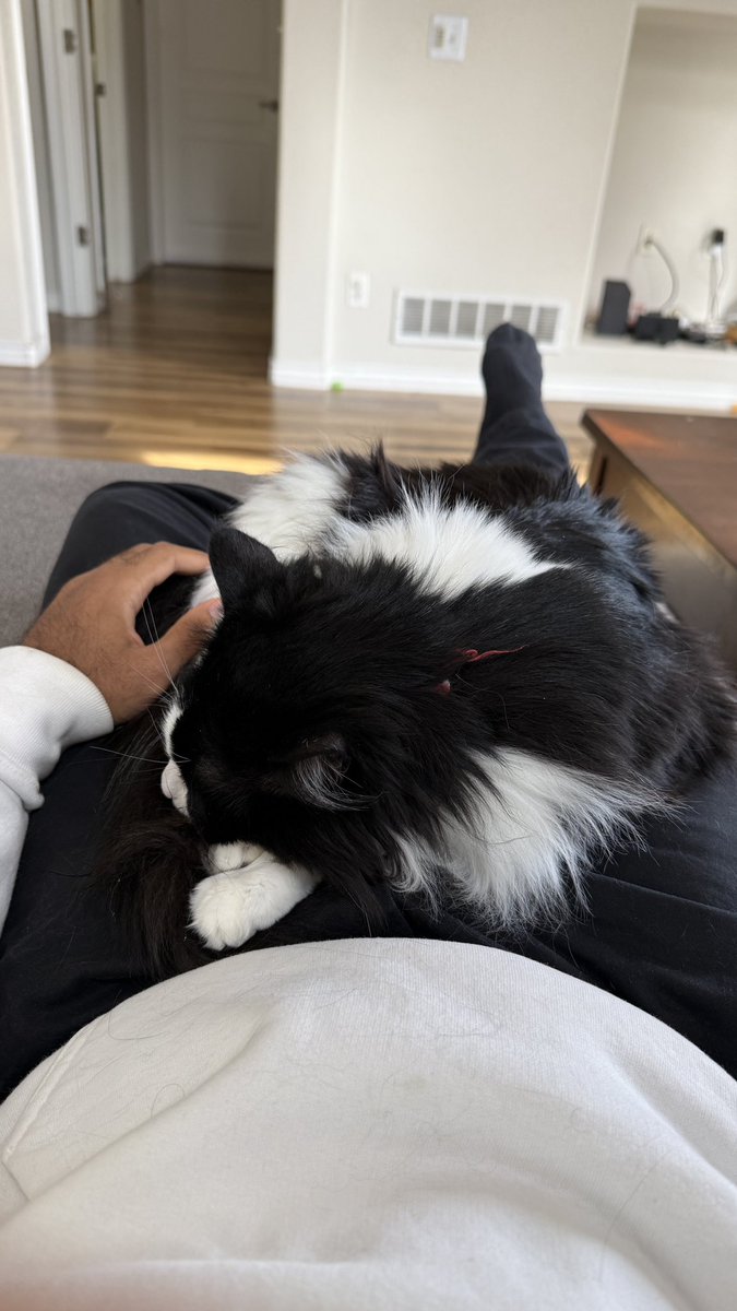 maybe everything will be alright