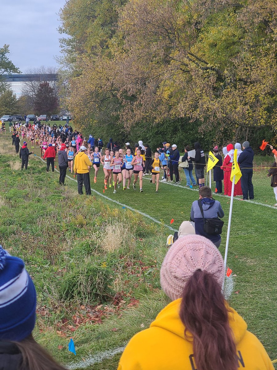 HDJ Track & Field tweet media