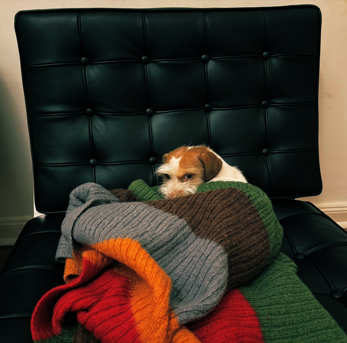 Ich soll den Abend mit den Kindern woanders verbringen. 
Also vom Stuhl aufstehen und mich aus der Decke auswickeln lassen. 

SIND DENN ALLE VERRÜCKT GEWORDEN!?