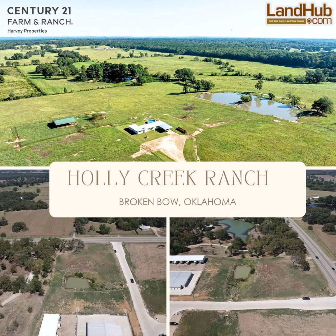 landhub's tweet image. 🐎 480± Acres | Turnkey Cattle & Horse Ranch | Minutes from Broken Bow, OK
✅ Three cattle processing facilities
✅ Multiple barns & shops
✅ 4 covered horse stalls
✅ 1,312 sq ft home
LEARN MORE 👉 buff.ly/xLpO9qF
#huntingland #fishingland #ranch #cattleranch