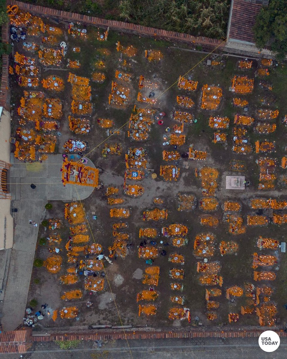 Día de los Muertos, or Day of the Dead, is rooted in Indigenous culture. Families create a trail of marigold petals from their front doors to altars to help guide spirits home.

Read more: bit.ly/48YJryO