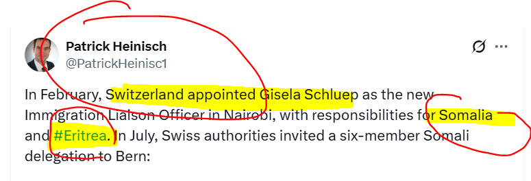 Look at this cartwheel. # on Eritrea only🥴 He surely is a subtextual troll. 🤏