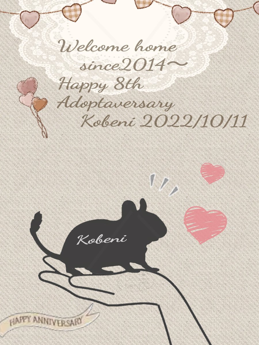 yupicobe2's tweet photo. 湿っぽくなっちゃったからちょっと切替え…
2022年今頃のこべにです🍁10月がお迎え記念だったからハロウィンと兼ねて📸
4枚目は撮影にも使った手作りメッセージカード。この時8歳だったけどジッとしてなくて撮影も大変だったな。
いつかわたしがそっちに行ったら覚えててくれるかなぁ。
#デグー #虹組 https://t.co/AHXCGYw3yP