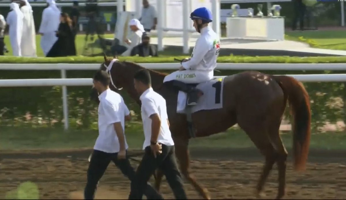 🏆 WINNER 🏆 A special day at ⁦⁦⁦⁦<a href="/jarcOfficial/">Jebel Ali Racecourse</a>⁩ 🤩
ITSATENFROMLEN (GB) winning 3y Condition race In Dubai 🇦🇪 under Mighty Pat Dobbs 🥂🍾 
Trained By Doug Watson 🏆👏
Our very first runner for Doug is the WINNER ✅ Well done 👍 🥂🍾