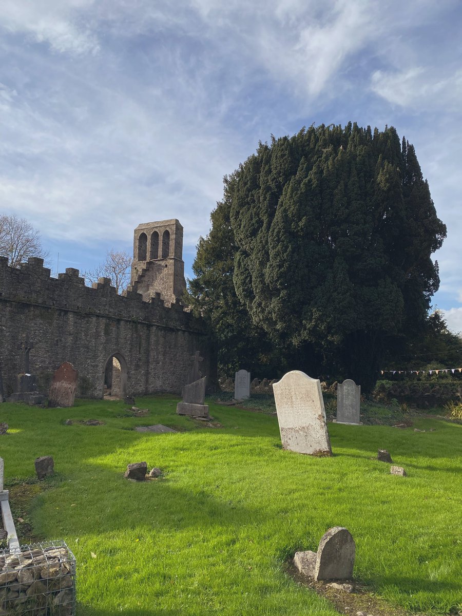 atominkk's tweet image. Today I visited Malahide Castle’s Gardens and here is what I drew 

⋆  ͙֒ ⋆ 🌷𓃗.ೃ࿔*:･