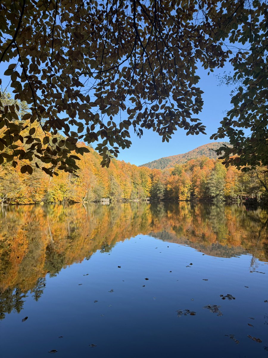 zhfidan's tweet photo. Kasım bolusu🍁 https://t.co/6D32Cr7Vfv