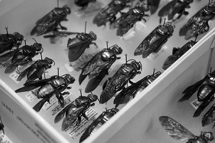 Victor H. Gonzalez Betancourt tweet media