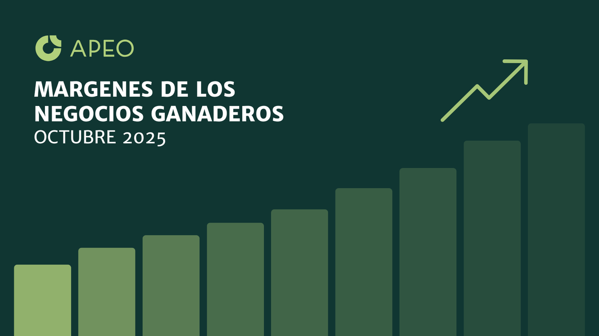 El sábado pasado mostramos los precios implícitos de los distintos negocios de la ganadería que están en récord absoluto, ahora les presentamos márgenes y rentabilidades de los negocios de campo natural (Cría) y pasturas (Recría)