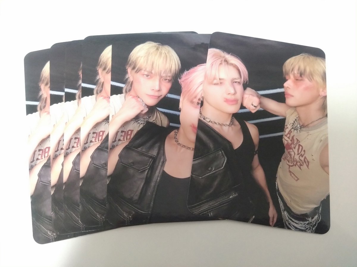 ねこいちご。 tweet media