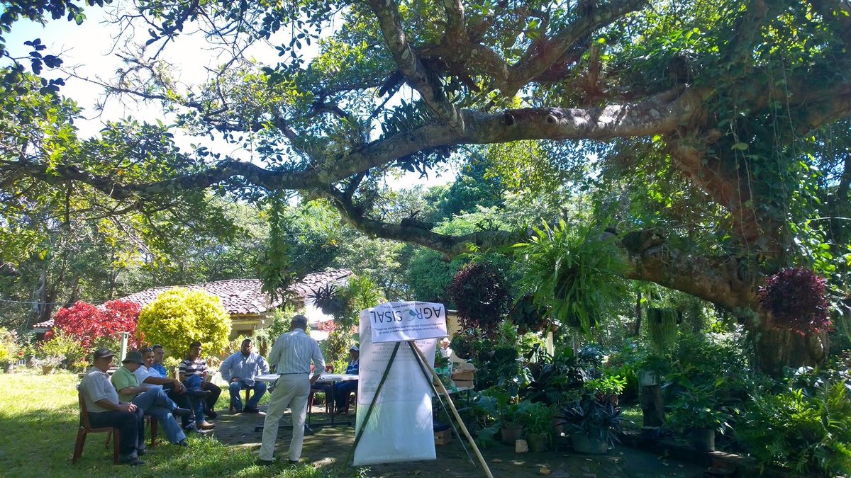 CheritoCafe's tweet image. These guys are at it again, when summer is about to kick in, looks like weather patterns will be manipulated and we shall see more rain with toxicity to our various cultivars. #biodynamic with ancestral approach to agroecology is only path to sovereignty.