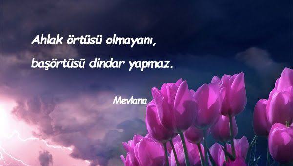 Alper (@alpr99) on Twitter photo 