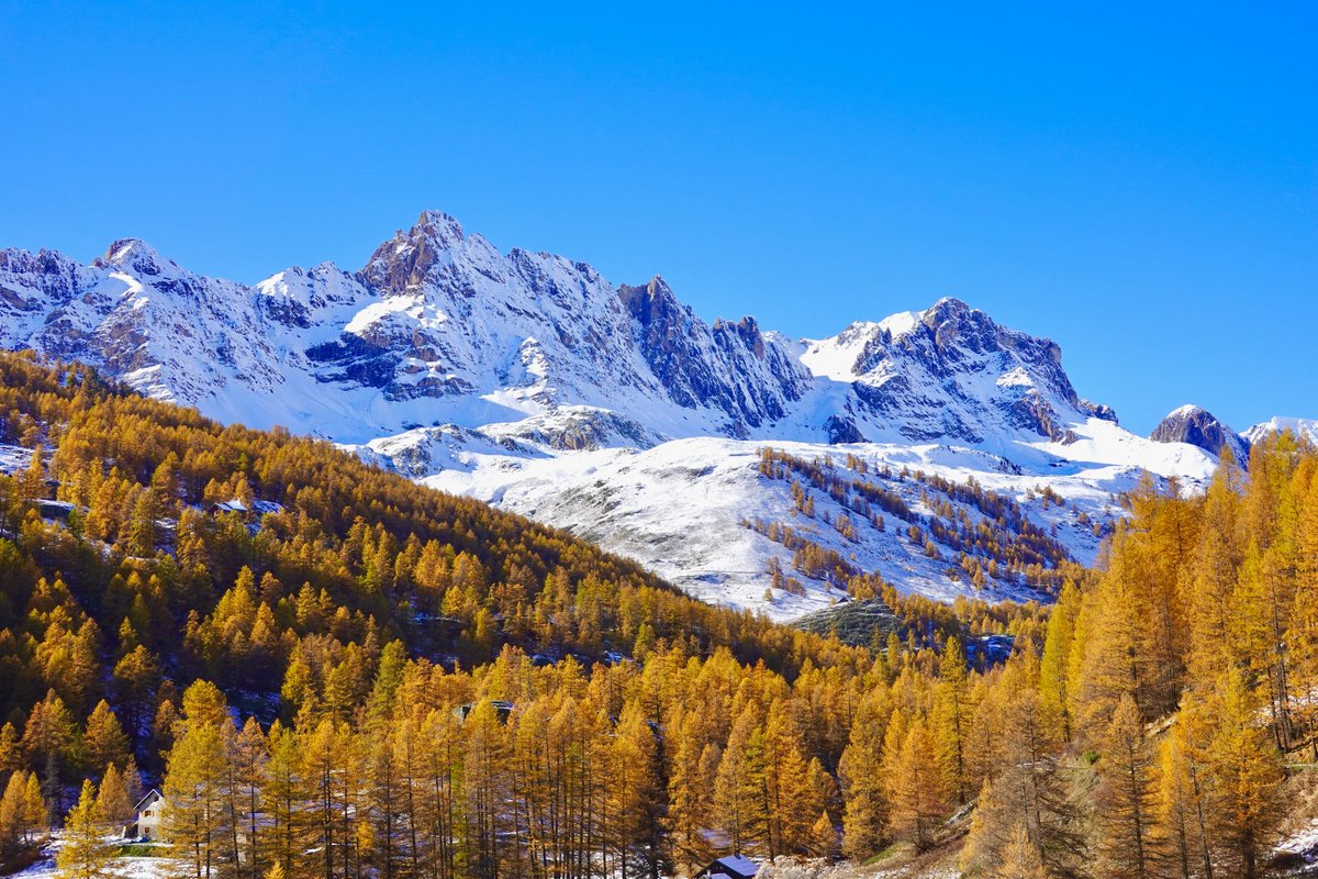 Mélèzes en feu dans la vallée de la Clarée. Incroyables couleurs d'automne actuellement dans les Hautes-Alpes. 30 octobre 2025.