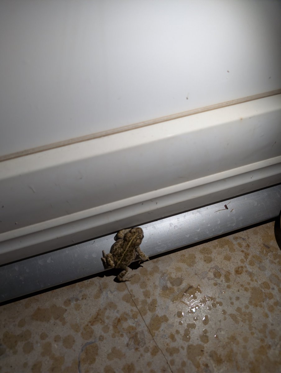 Encore une tentative d'intrusion dans la maison. L'insécurité est grandissante 😅