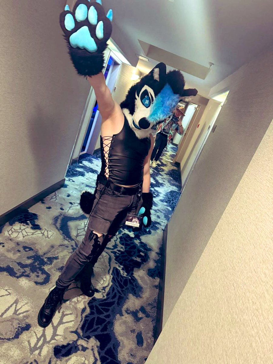 CainTheCanineAD🔜Furlandia tweet media