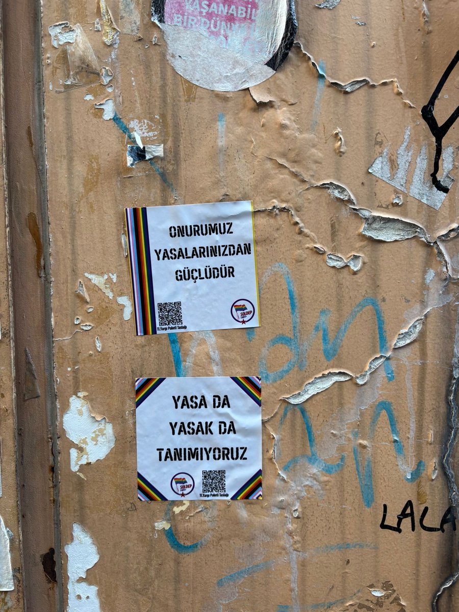 Yaponiyalik ayol internetga siydi Yaponiyalik ayol internetga siydi