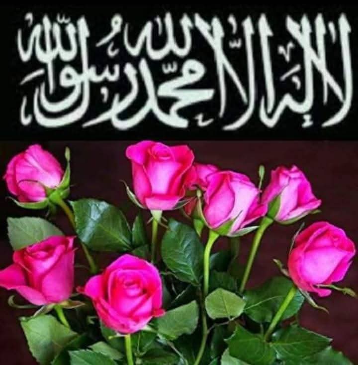 HUSEYNELMUHAMM1's tweet image. 🍋اللهم ﷺﷺ🌹
🍋صل ﷺﷺ🌹
 🍋وسلمﷺﷺ🌹
🍋وبارك ﷺﷺ🌹
🍋علىﷺﷺ🌹
🍋حبيبناﷺﷺﷺﷺﷺ🌹
🍋والشفيعناﷺﷺﷺﷺ🌹
🍋محمد ﷺﷺﷺﷺﷺ🌹
🍋صلى الله عليه وسلم ﷺ🌹
🍋ﷺﷺ🌻
🍋ﷺﷺ🌻
🍋ﷺﷺ🌻
🍋ﷺﷺ🌻
🍋ﷺﷺ🌻
🍋ﷺﷺ🌻
🍋ﷺﷺ🌻
🍋ﷺﷺ🌻
🍋ﷺﷺ🌻
🍋ﷺﷺ🌻
🍋ﷺﷺ🌻
🍋ﷺﷺ🌻
🍋ﷺﷺﷺﷺﷺ🌻