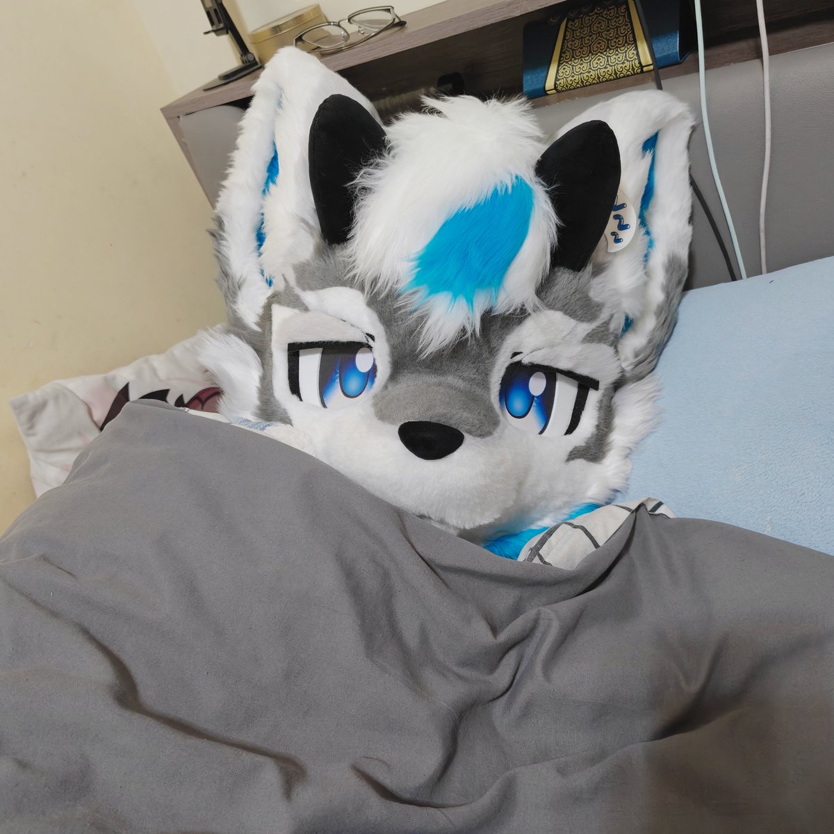 好冷可不可以给我一个拥抱QAQ
#furry #furmony