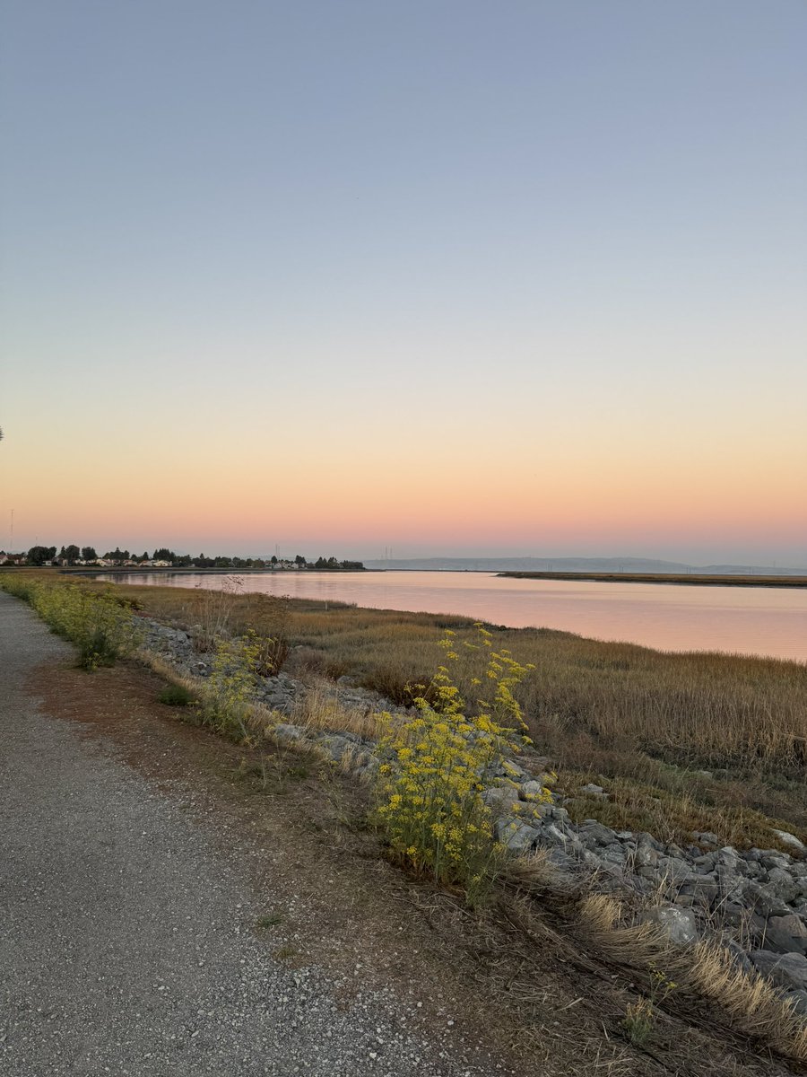 markkhoffmann's tweet photo. @Beyond_AK @ItzSuds Agree, surprisingly a lot of stuff to do. I ended up in Redwood Shores right off of a ton of really scenic trails. https://t.co/v26ZiysoTL