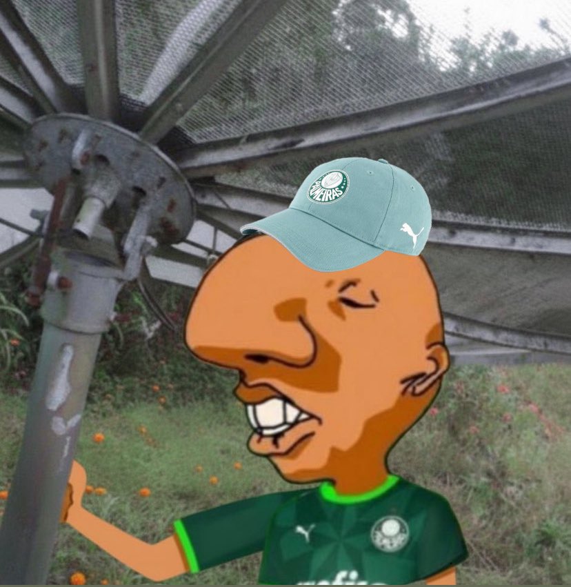 eu na antena PALrabolica