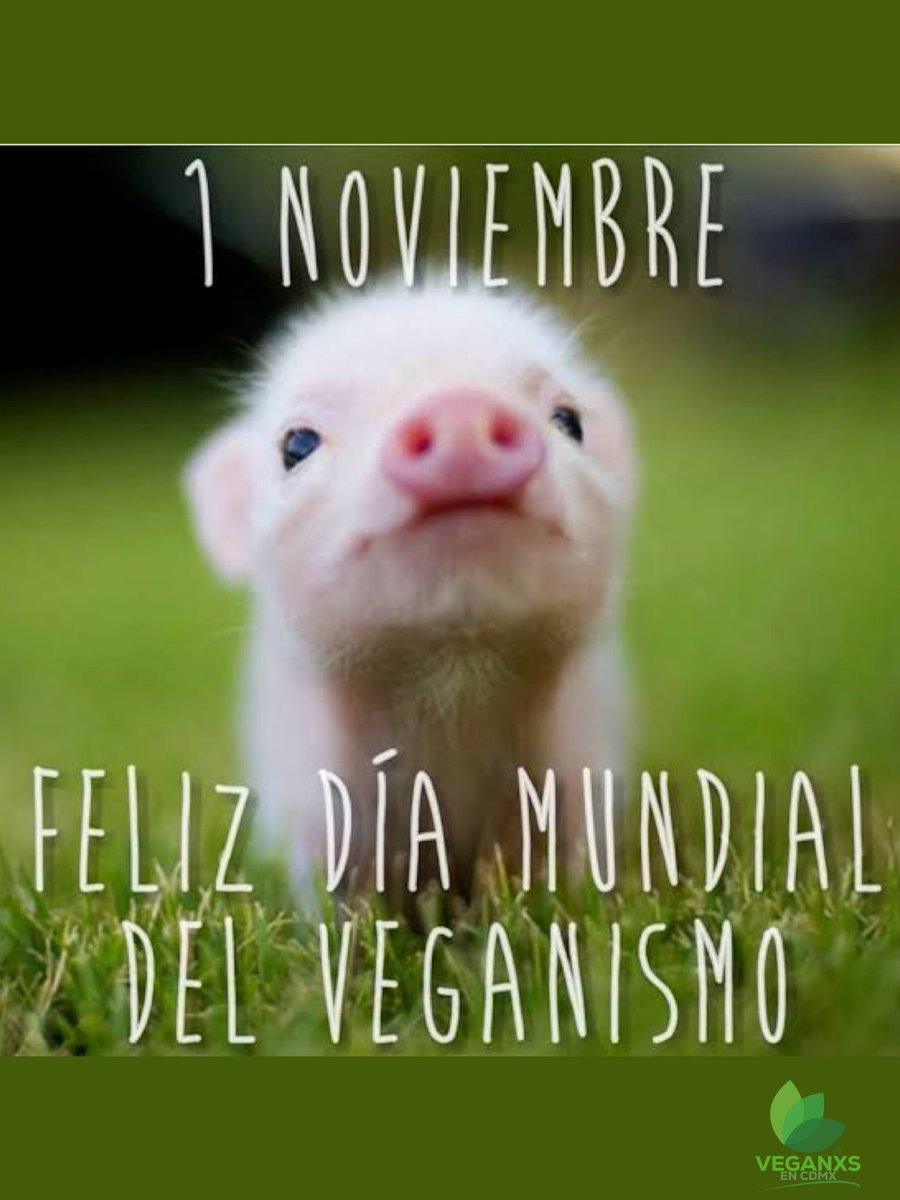 Feliz #DíaMundialDelVeganismo !!!!! 🎉 
Hoy no celebramos una dieta.
Celebramos la empatía, la coherencia y la justicia. ✊💚
El veganismo no es una tendencia, es una postura ética:
porque los animales no son productos, ni recursos, ni cosas.

Ellos quieren vivir, igual que tú.