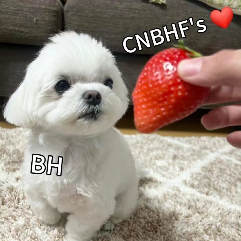 I vote for  #BAEKHYUN #2025MAMAVOTE 

如果有其他女团可以一起联合投票的，请帮忙联系，伯贤的中国粉丝这里有大量票数
*我们只需要fan choose，不需要visa daesang
*我们需要投票截图凭证，也会反馈相应的投票截图

如果能给伯贤拿到奖杯🏆对于此刻来说是意义重大的😭一起加油！