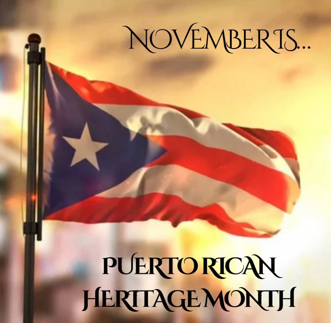Puerto Rican Heritage Month is a time to honor the resilience, creativity, and cultural pride of the Puerto Rican people.  Let’s honor our heritage through art, music, and community events. Que viva Puerto Rico 🇵🇷 #PuertoRicanHeritage #PRPride