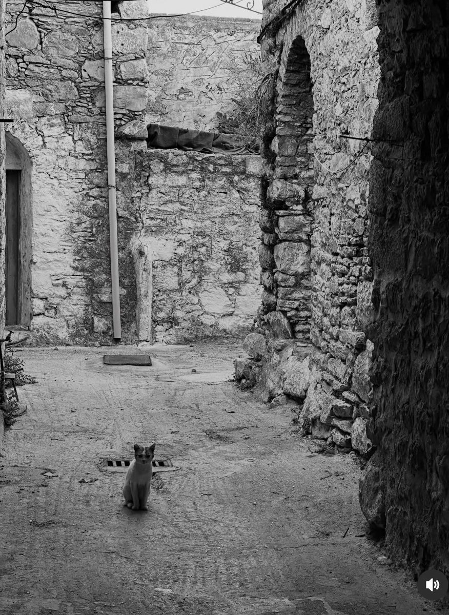 Eski anahtarlarla yeni kapılar açamazsınız.
Ya kapı değişmiştir,
Yada anahtar paslanmıştır.

#iyigeceler