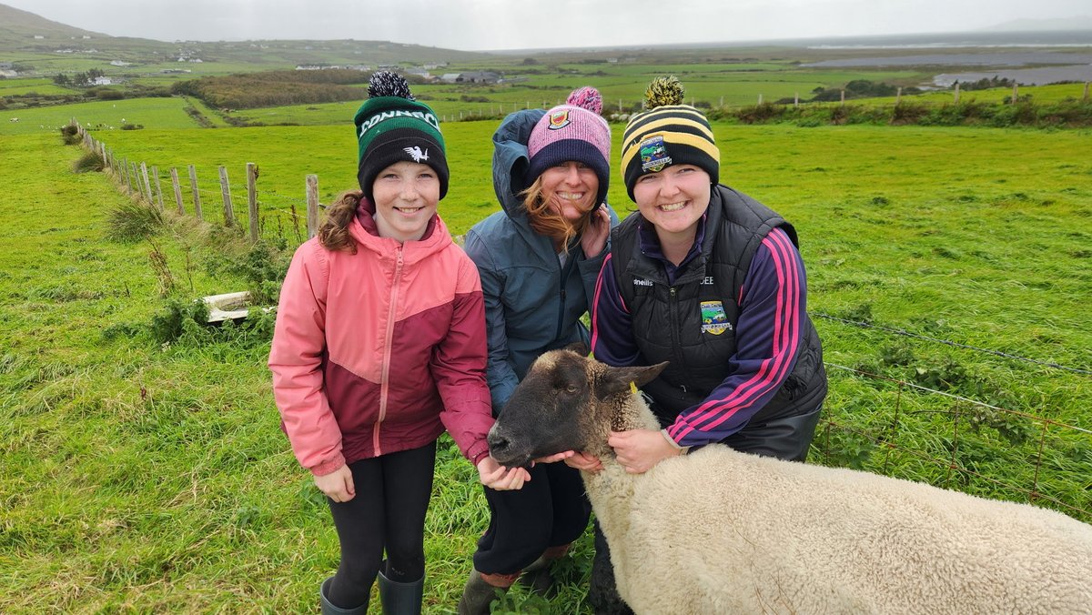 Juli Neace tweet media