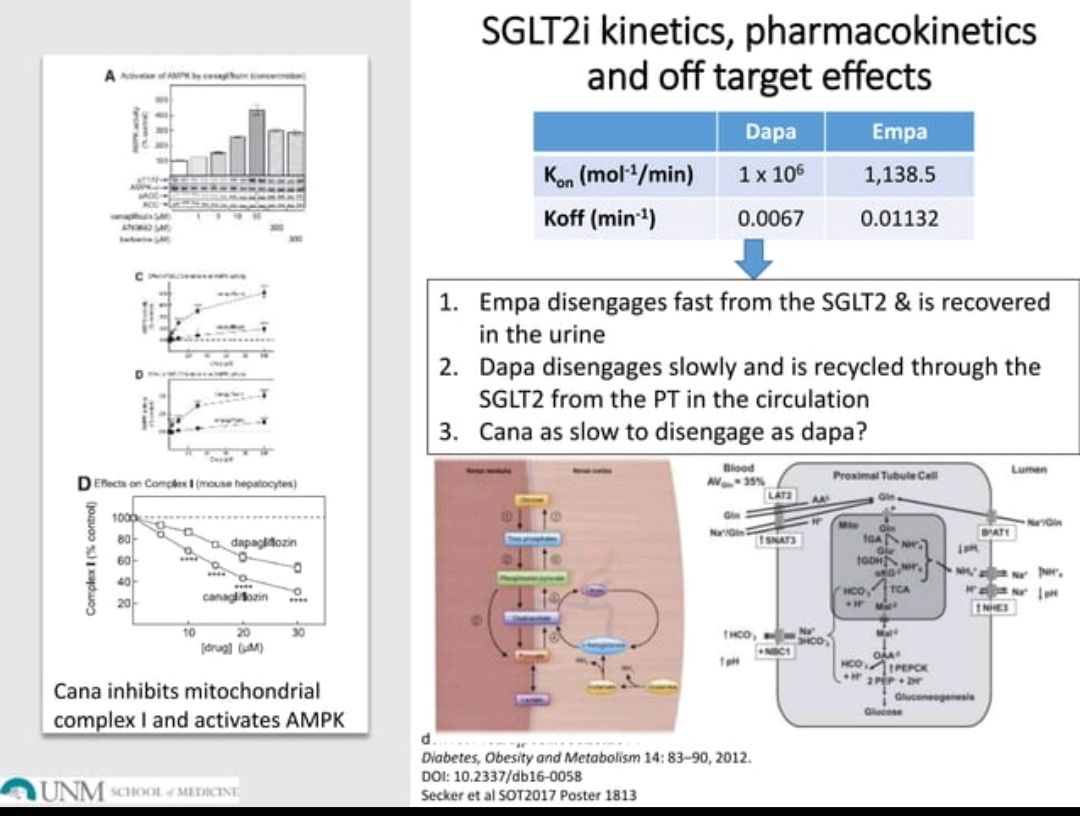 ChristosArgyrop's tweet image. When my 14 y/o Twitter account was banned in 2024 after a hack,  I lost all #meded posts. But in #slideshare, I found my 2017 presentation,  the year after I started my off-label use of #sglt2i in kidney disease. I&apos;m glad I got most things right back then
slideshare.net/chrisarg/sglt2…