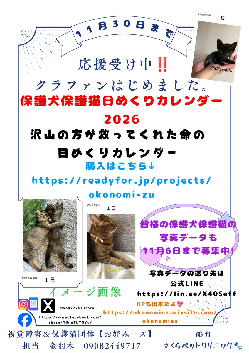 you777613coco's tweet photo. 見やすく作り直し✌
HPも新しくなったので見てね♥
まだまだ写真データが足りないので拡散と写真の応募待ってます✨️
毎日違う子が見れる日めくりカレンダー卓上にも壁掛けにもなるよ😺
#日めくりカレンダー #保護猫 #クラファン #視覚障害 #拡散希望 #保護犬
#写真募集 #命 #猫好きさんと繋がりたい https://t.co/JqB6w6oB80