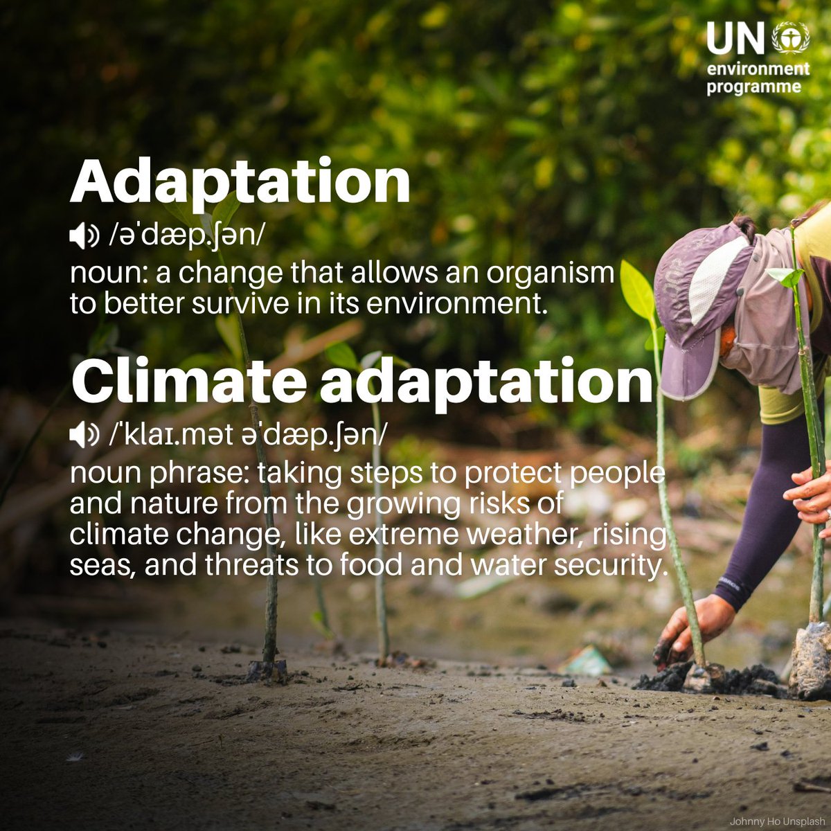 Climate adaptation means helping communities adjust to a changing climate by protecting lives, livelihoods, and nature while building new opportunities for growth.

Browse UNEP’s new #AdaptationGap Report for the latest progress: unep.org/resources/adap…