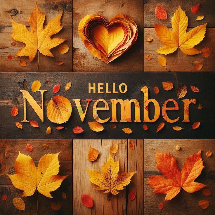 ami_vslover's tweet image. #HelloNovember 🍂🍃🍁 #GoodbyeOctober #season #seasons #fall #autumn #love #like #favorite #exciting #happy #enjoy #wonderful #fun #myfavorite #maple #fallenleaves #deadleaves #winter #cold #cool #colorful #beautiful #amazing #sweet #orange #yellow #brown #coffee #pumkin #heart
