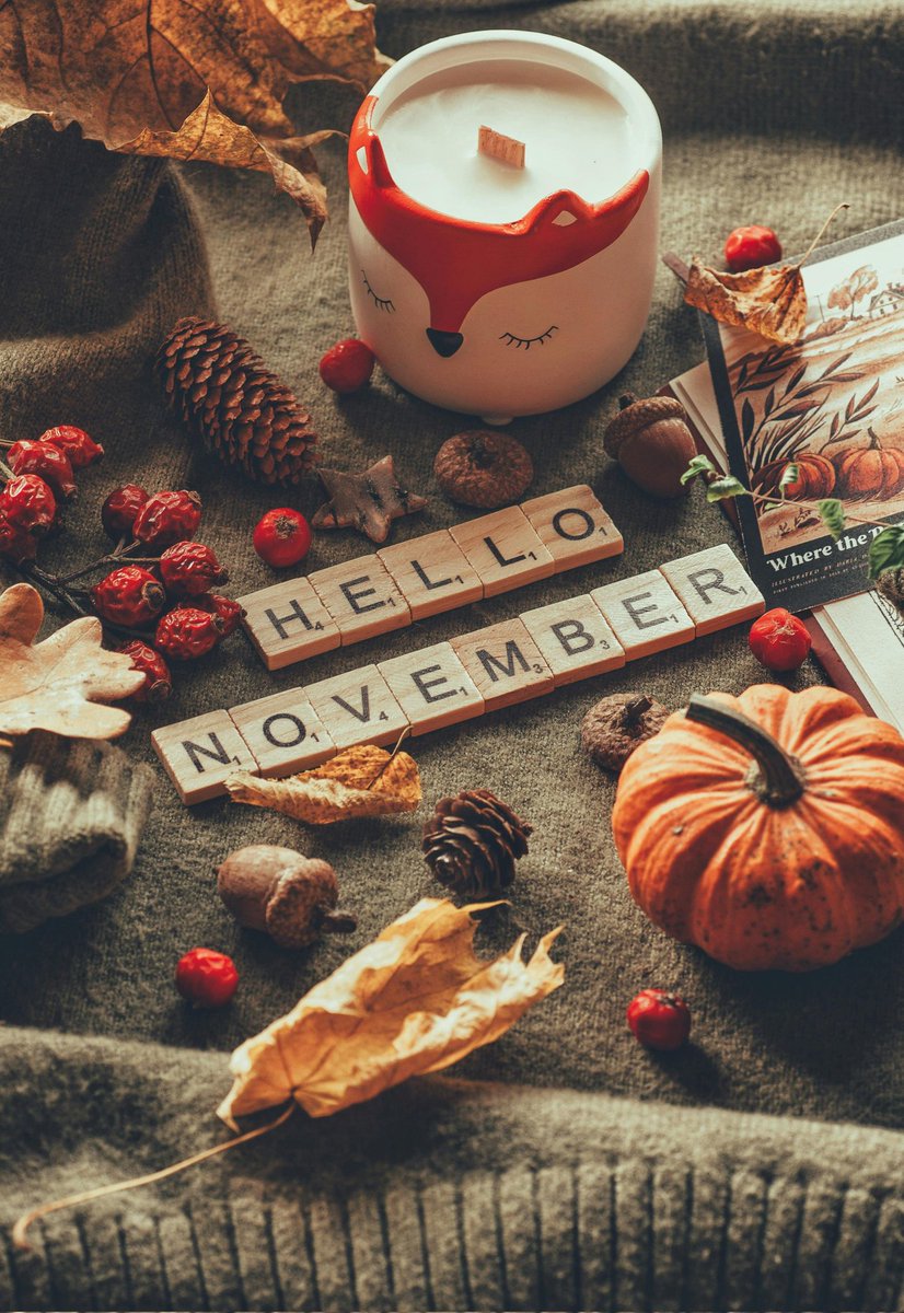 ami_vslover's tweet image. #HelloNovember 🍂🍃🍁 #GoodbyeOctober #season #seasons #fall #autumn #love #like #favorite #exciting #happy #enjoy #wonderful #fun #myfavorite #maple #fallenleaves #deadleaves #winter #cold #cool #colorful #beautiful #amazing #sweet #orange #yellow #brown #coffee #pumkin #heart