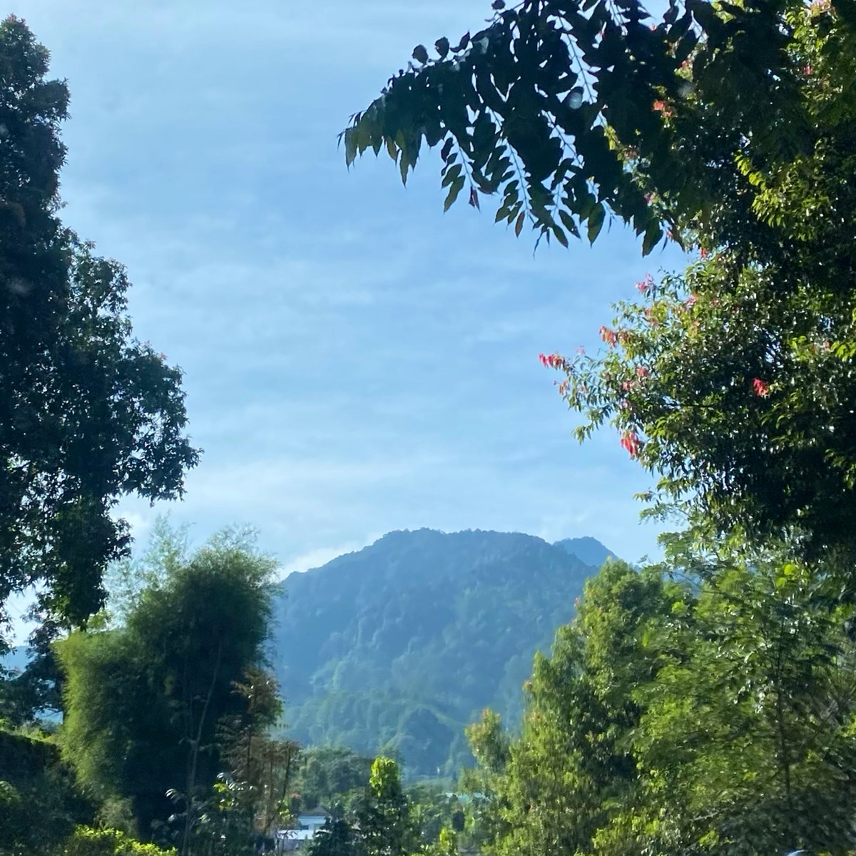 Bunga Adelia 🍉 tweet media