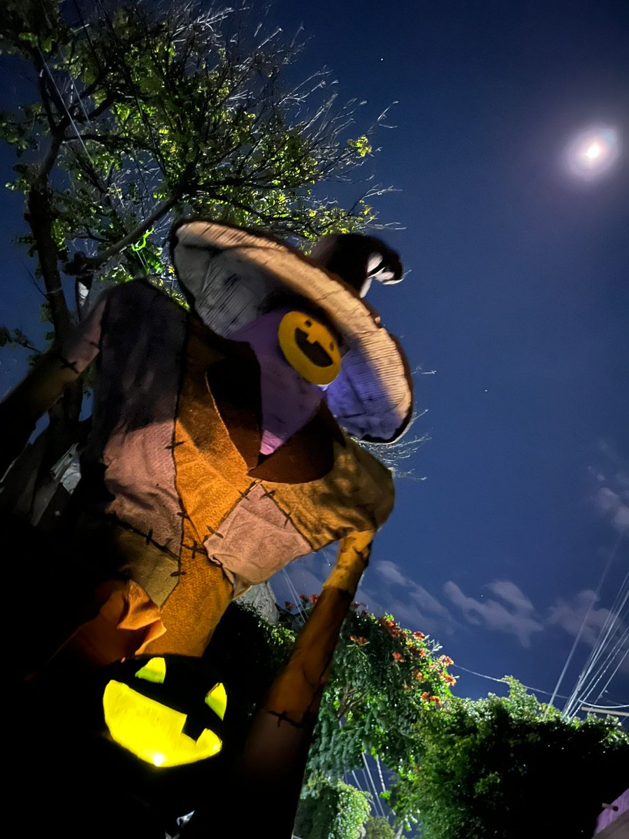 Frankie Martinez tweet media