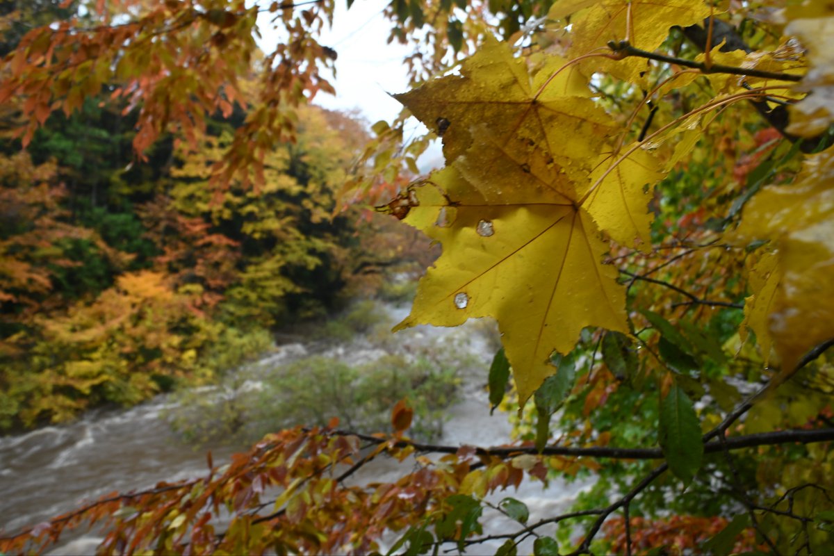 K.I.M C106 8/17(2日目)東6ク20a on X