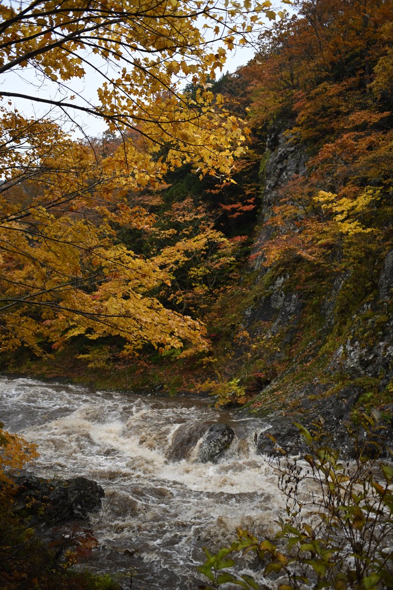 K.I.M C106 8/17(2日目)東6ク20a on X