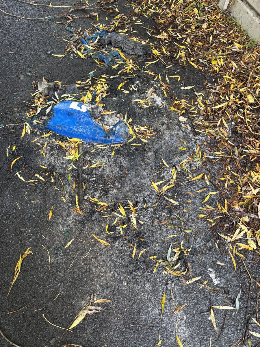 To the gits who stole our neighbours bin and whichever one of our neighbours who stole our bin - we’ll be taking ours back come Monday once you have to put it out to empty. (Ours doesn’t have a 5 like this one)