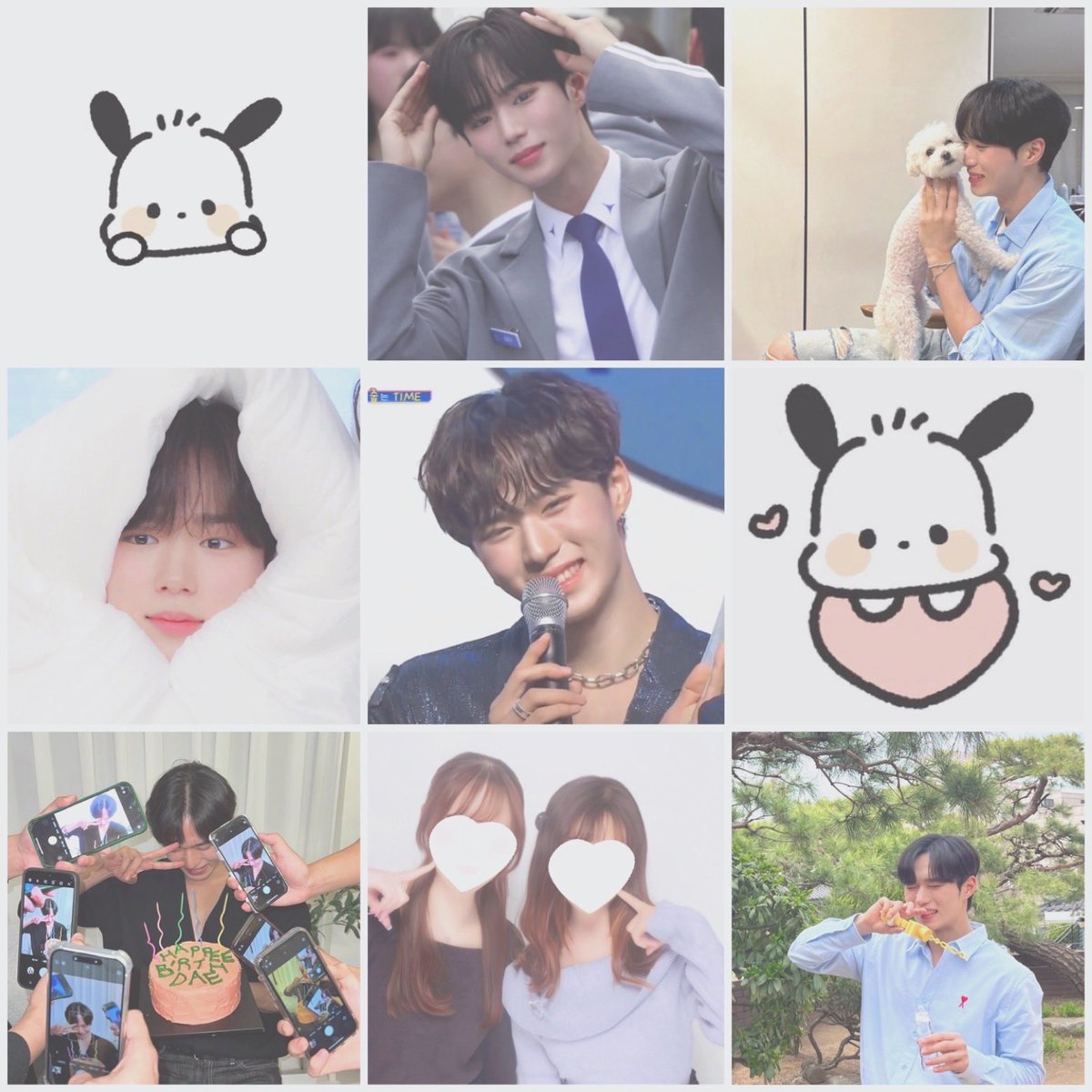 そらねこ🐈 서둥이 ALLYZ tweet media