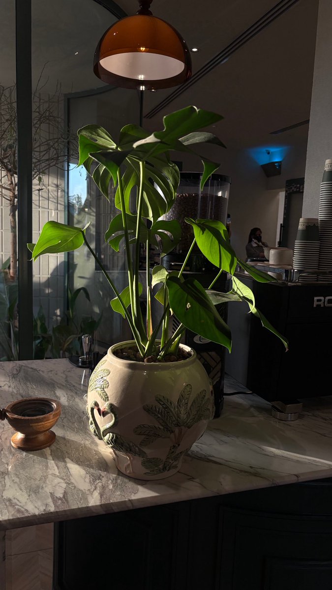 Reema🍒 tweet media