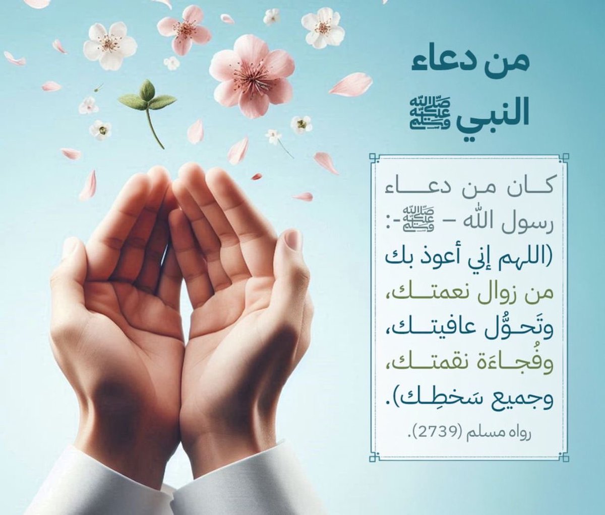 شمسيـه العُمري. (@shams_0xx) on Twitter photo 